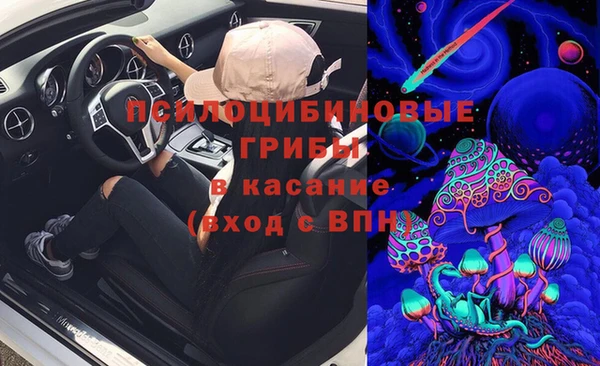 прущая мука Белокуриха
