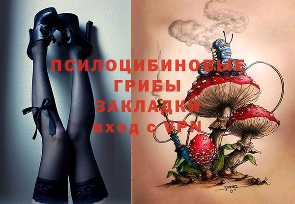 мяу мяу мука Беломорск
