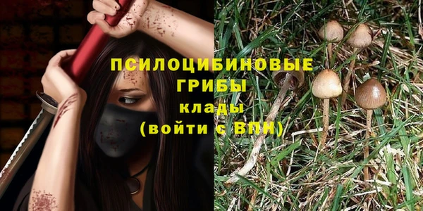 мяу мяу мука Беломорск