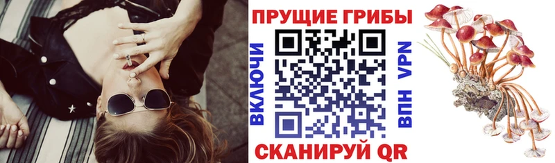 Галлюциногенные грибы Cubensis  Высоковск 